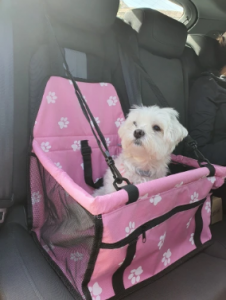 Asiento de perro para coche photo review