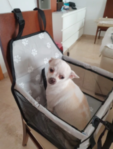 Asiento de perro para coche photo review